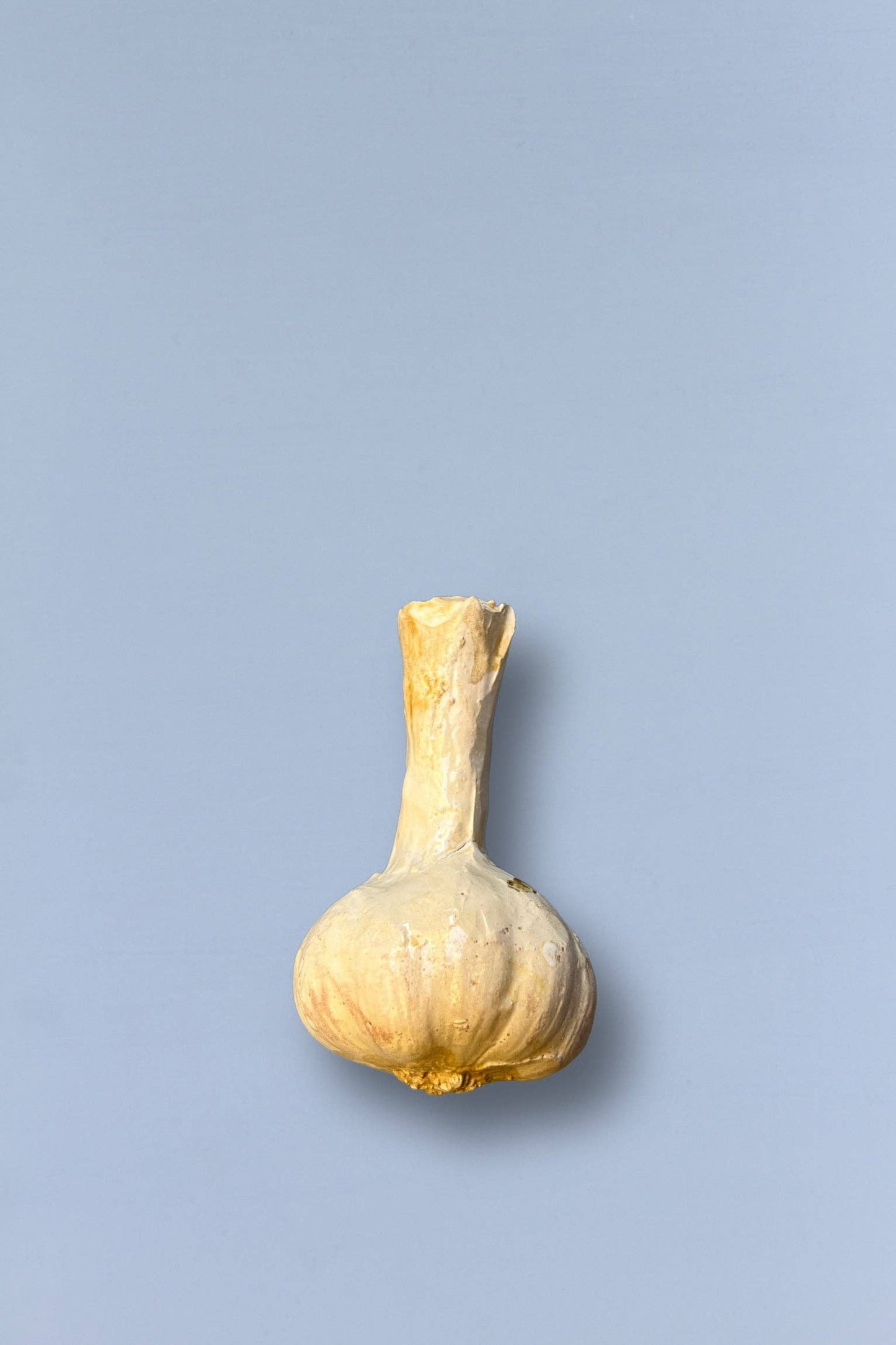 Ceramic Garlic