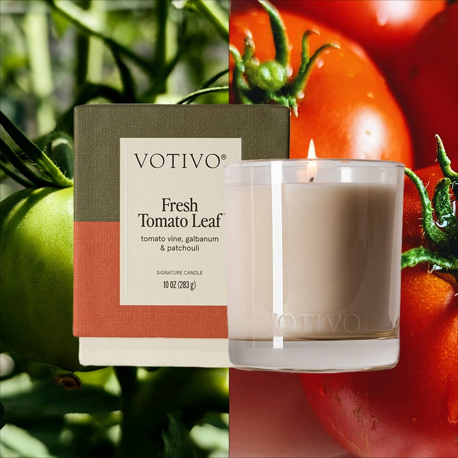 Fresh Tomato Leaf Signature 10 oz Candle | Garden Scent