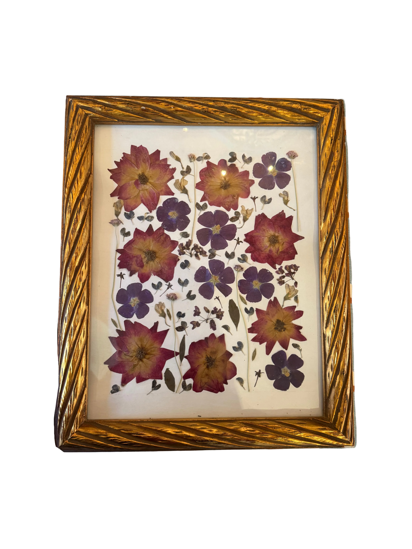 Pair of Original Pressed Botanical Art