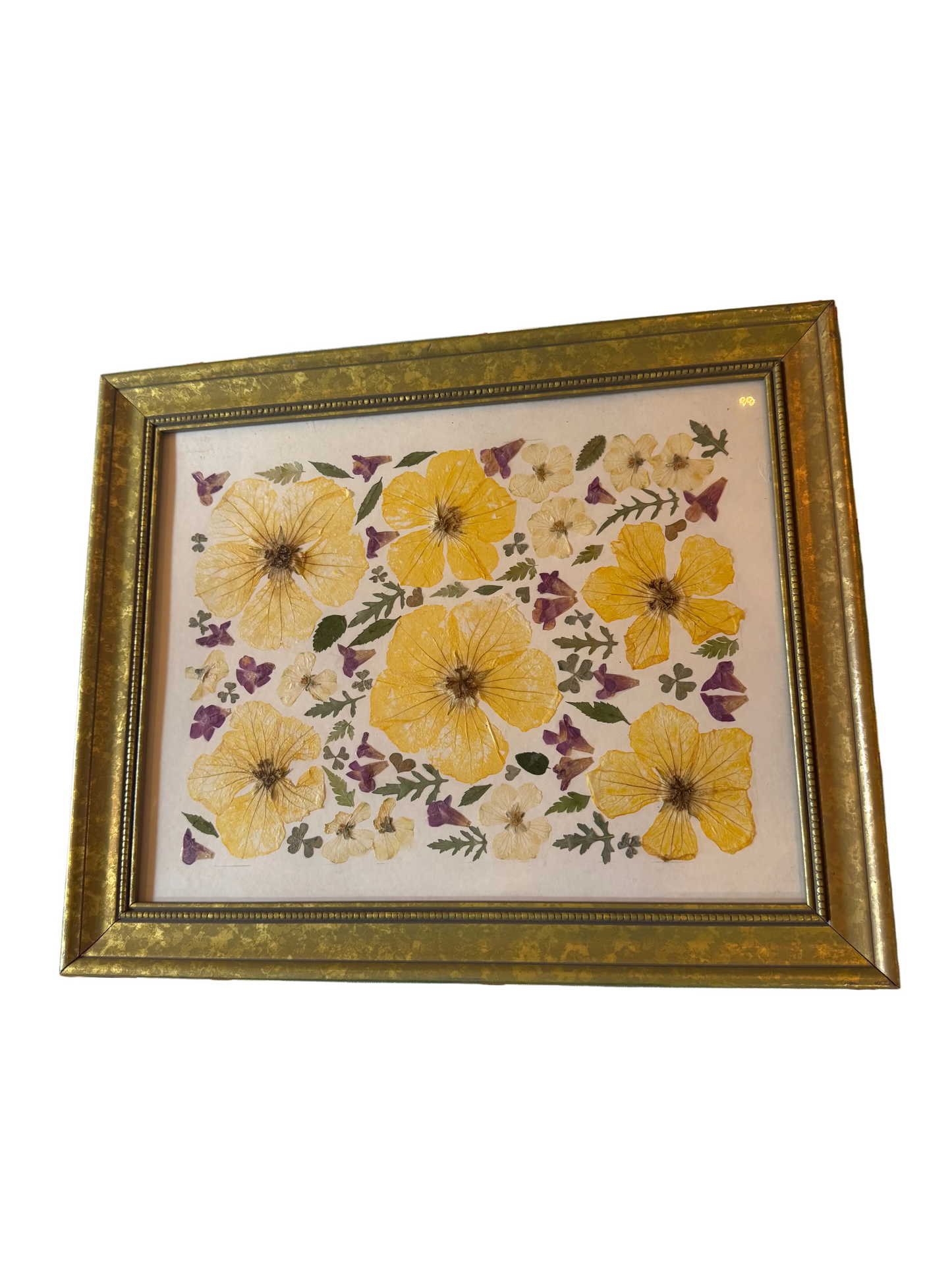 Pressed Botanical-Garden Flowers