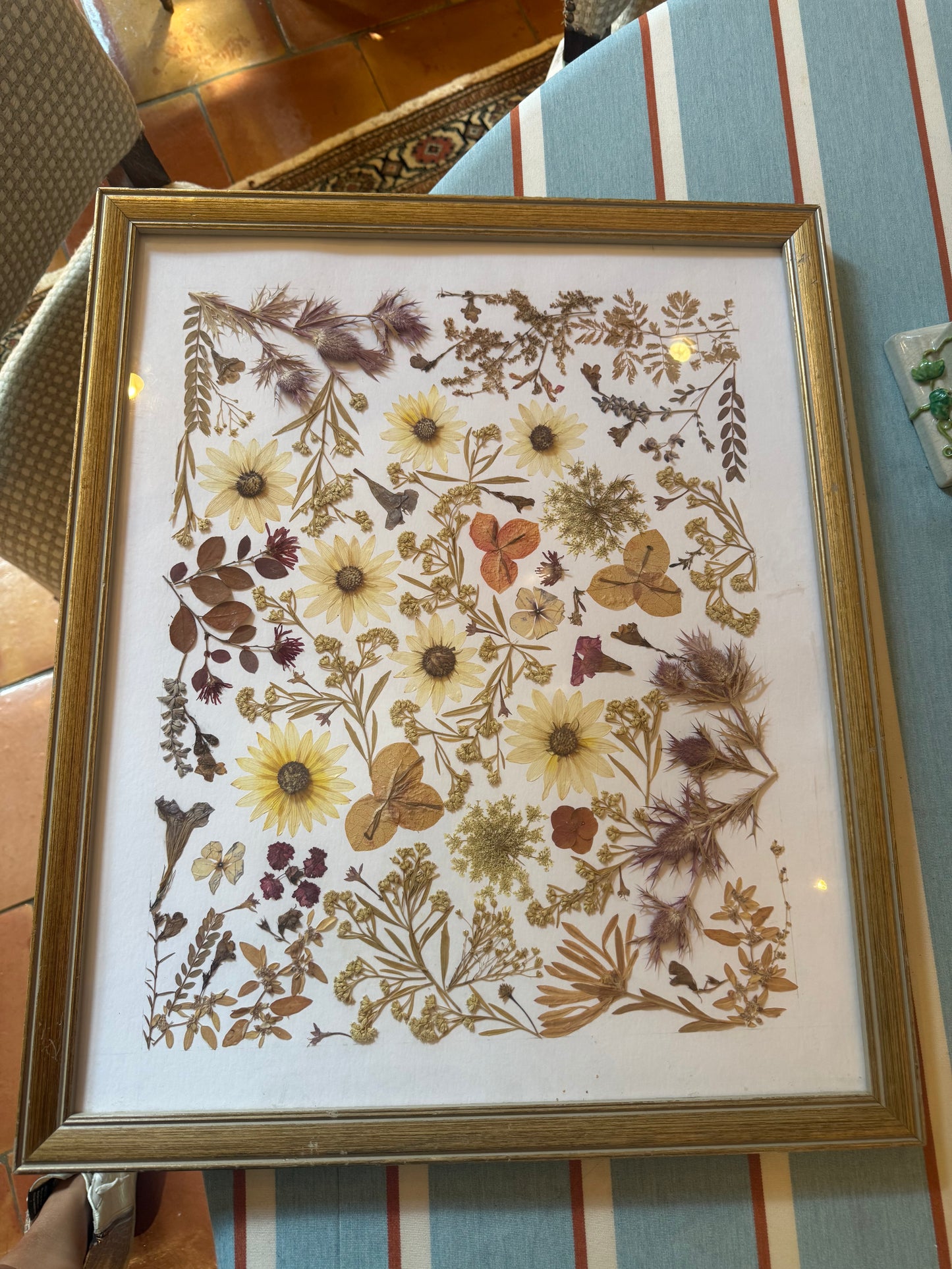 Pressed Botanical -Texas Wildflowers