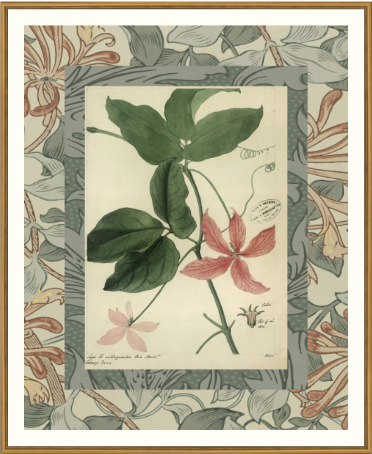 Patterned Botanical 5-Framed