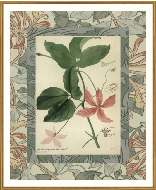 Patterned Botanical 5-Framed