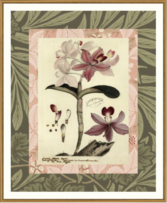 Patterned Botanical 6 Framed