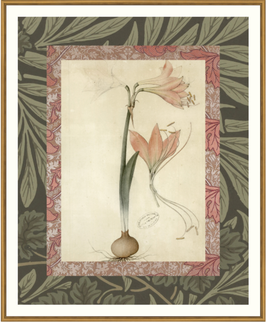 Patterned Botanical 4 Framed