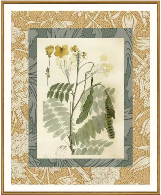 Patterned Botanical 3 Framed