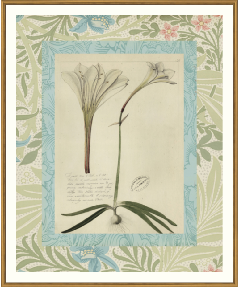 Patterned Botanical 2 Framed