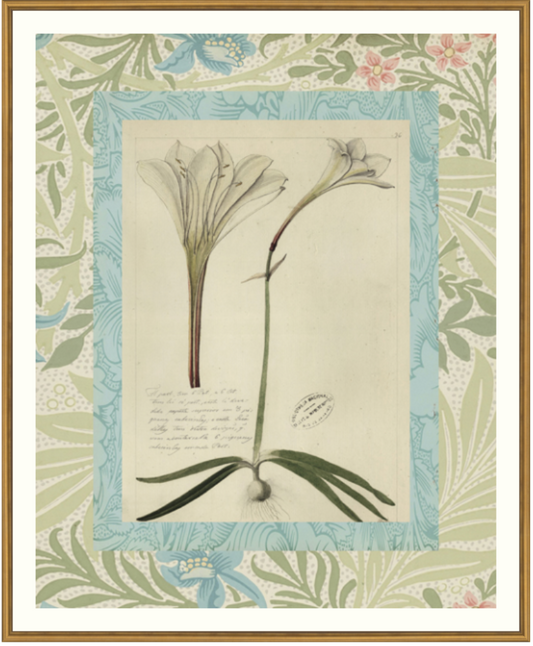 Patterned Botanical 2 Framed