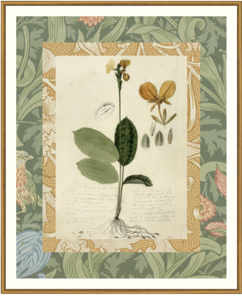 Patterned Botanical 1 Framed