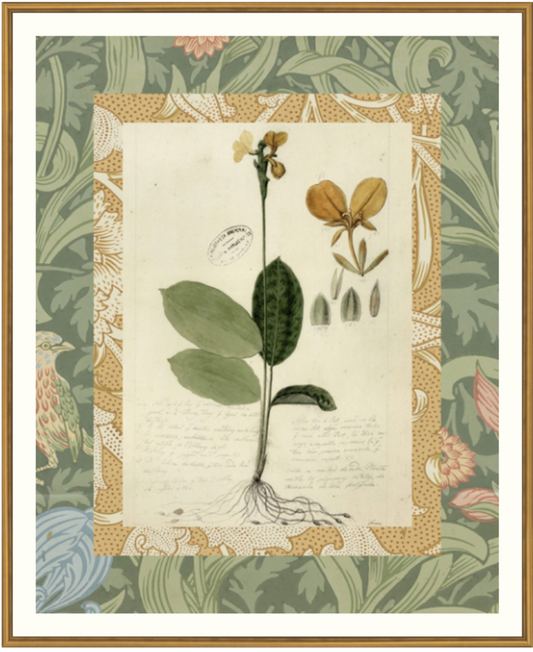 Patterned Botanical 1 Framed