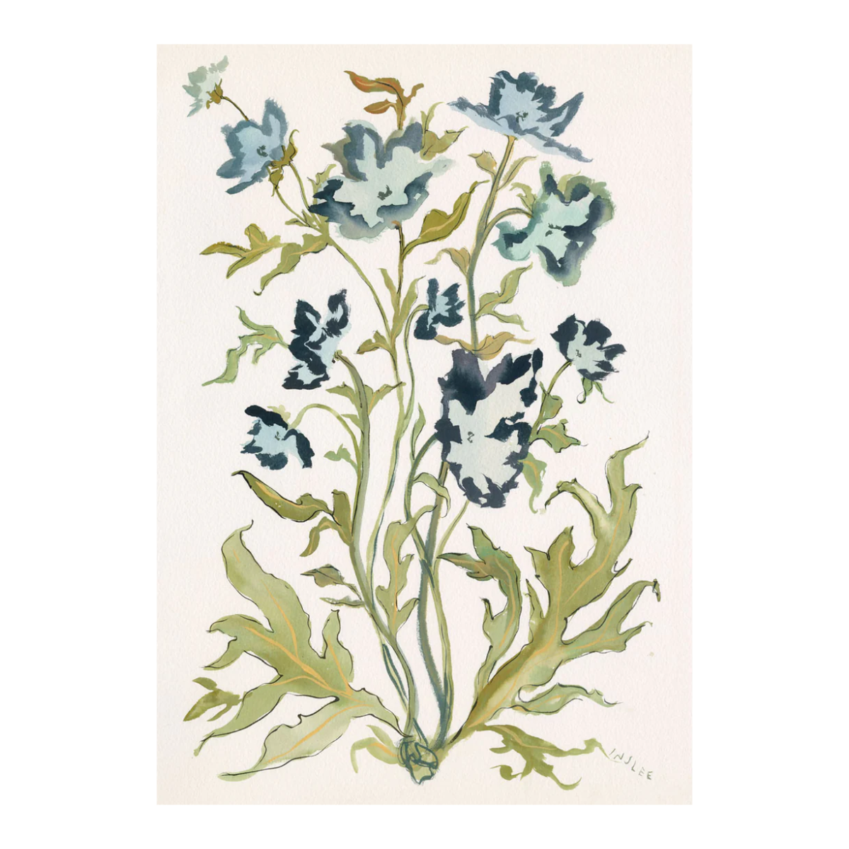 Prussian Poppies Botanical Print