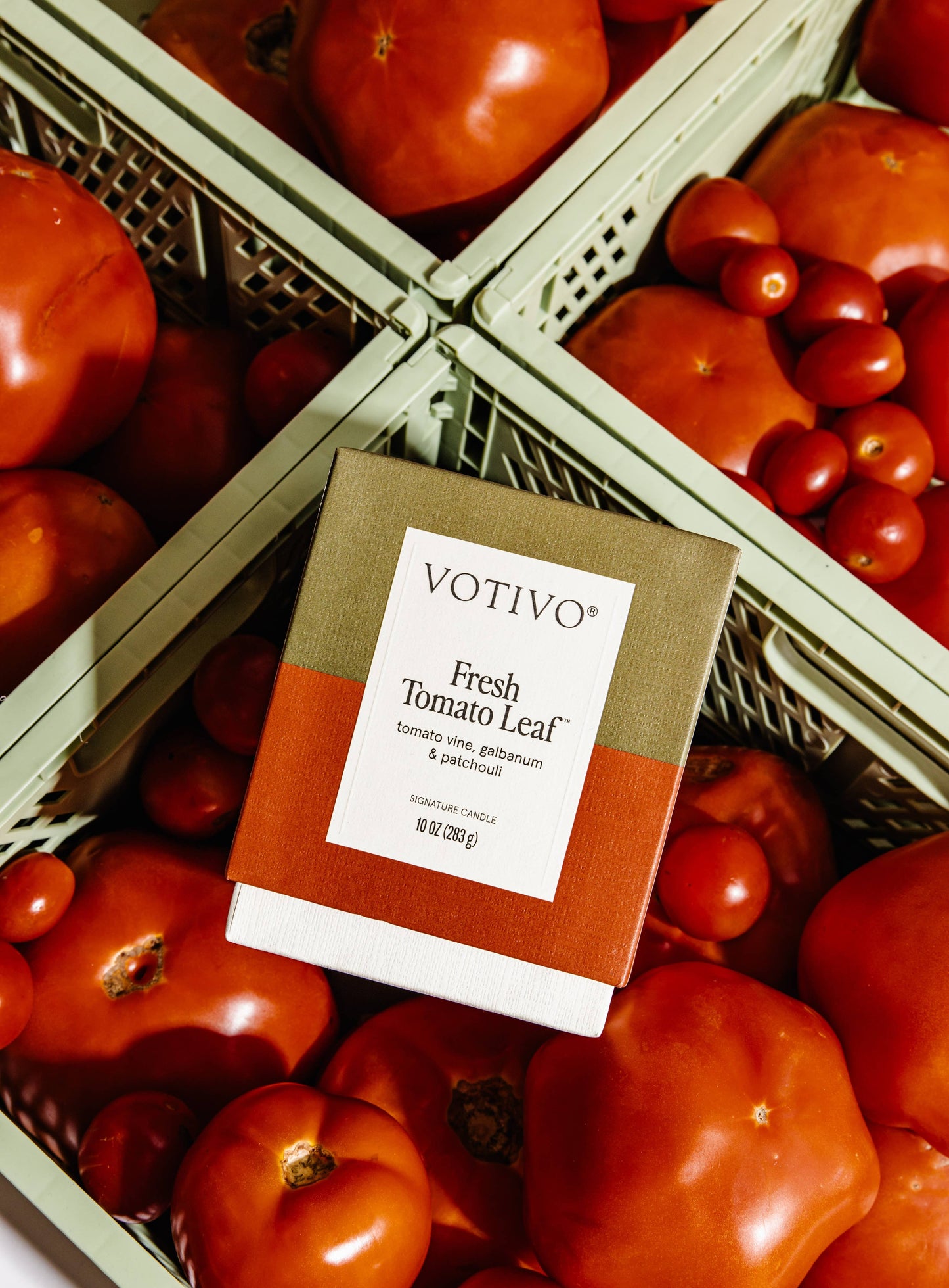 Fresh Tomato Leaf Signature 10 oz Candle | Garden Scent
