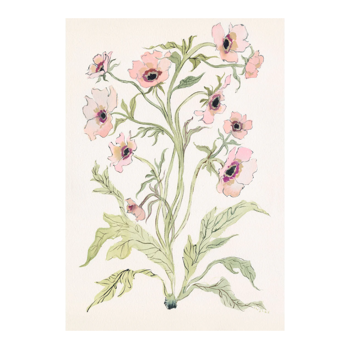 Slipper & Sage Botanical Print