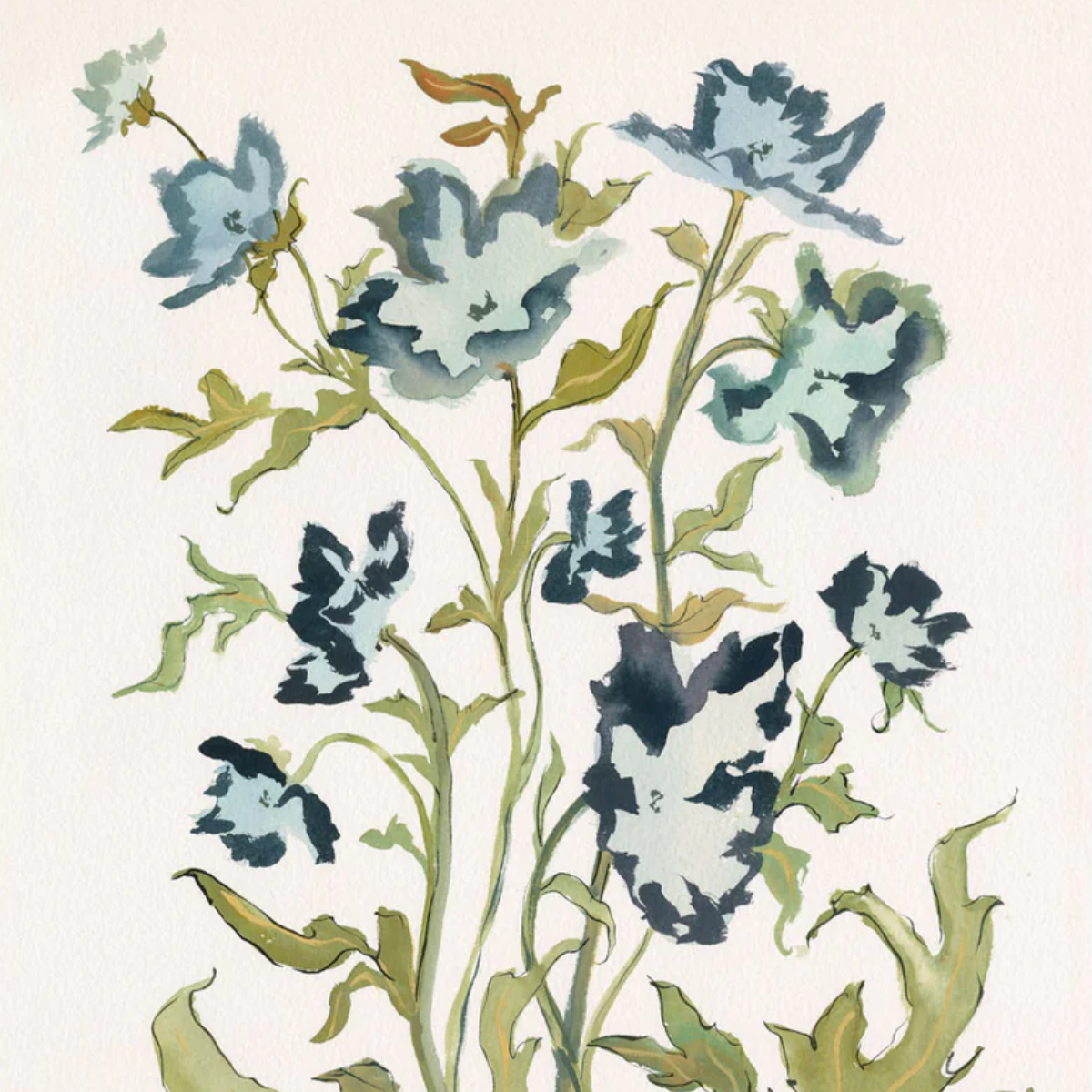 Prussian Poppies Botanical Print