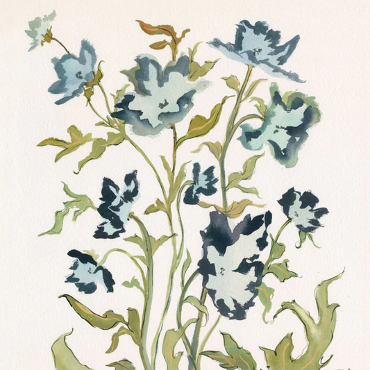 Prussian Poppies Botanical Print