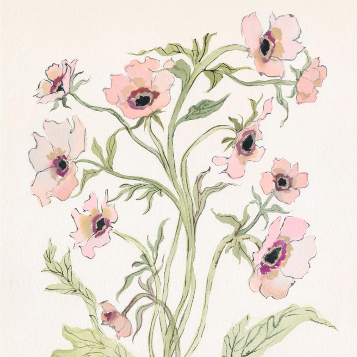 Slipper & Sage Botanical Print