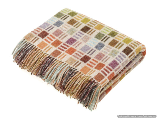 Multi Color Wool Throw Blanket
