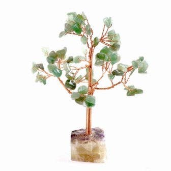 Mini Jade Tree