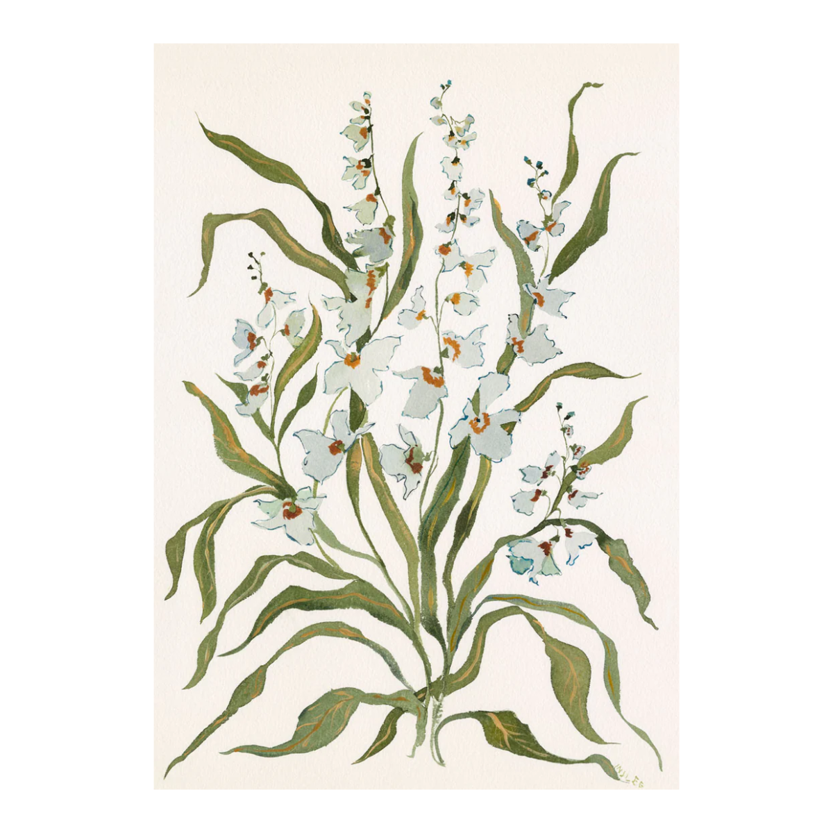 Dove & Celadon Botanical Print