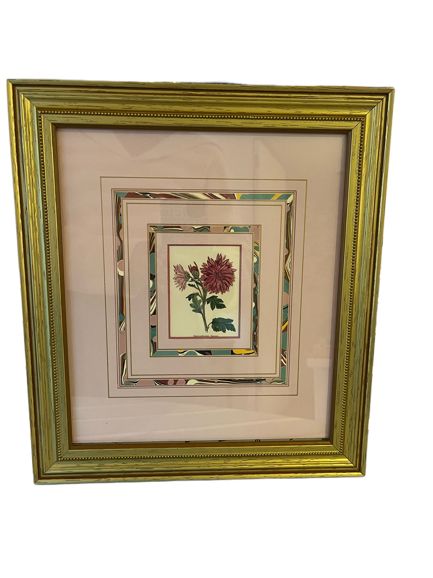 Botanical Prints w Mats