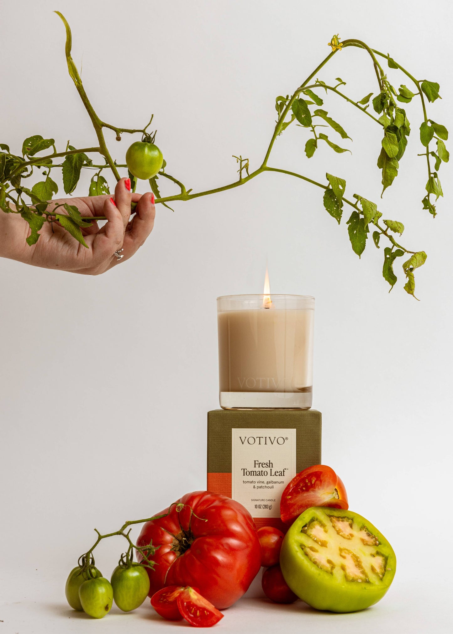 Fresh Tomato Leaf Signature 10 oz Candle | Garden Scent
