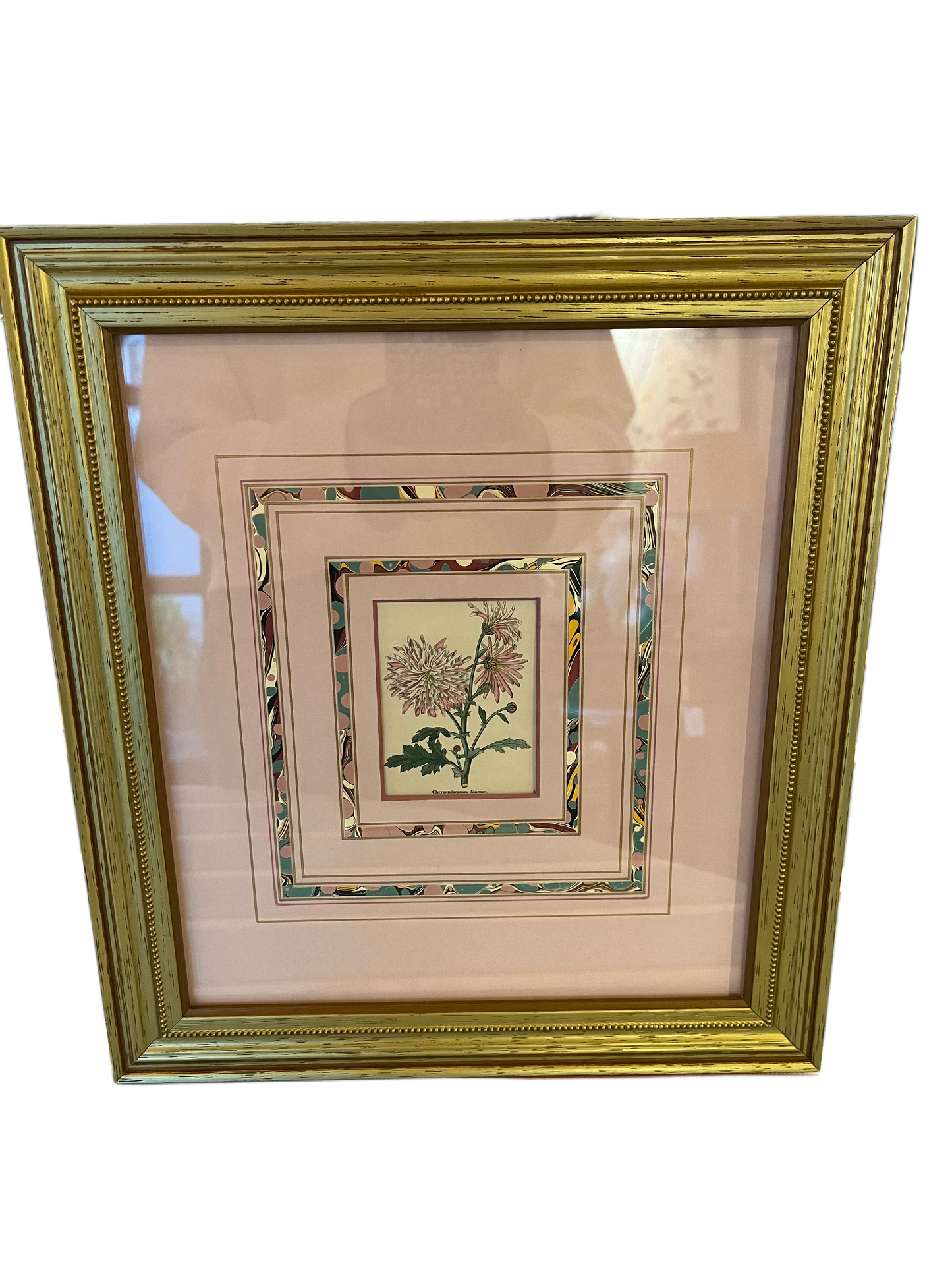 Botanical Prints w Mats