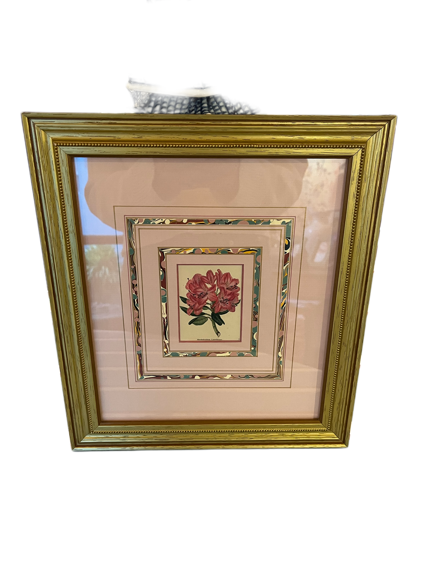 Botanical Prints w Mats