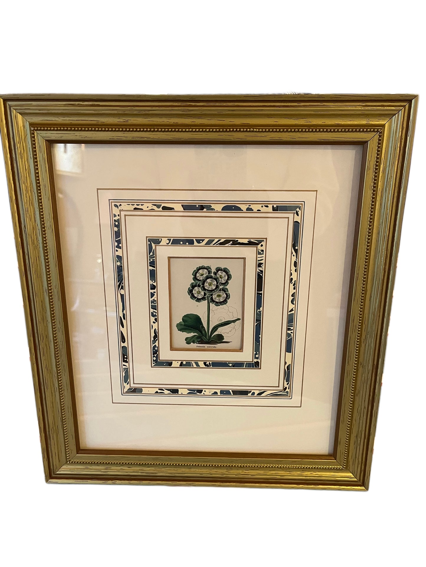 Botanical Prints w Mats