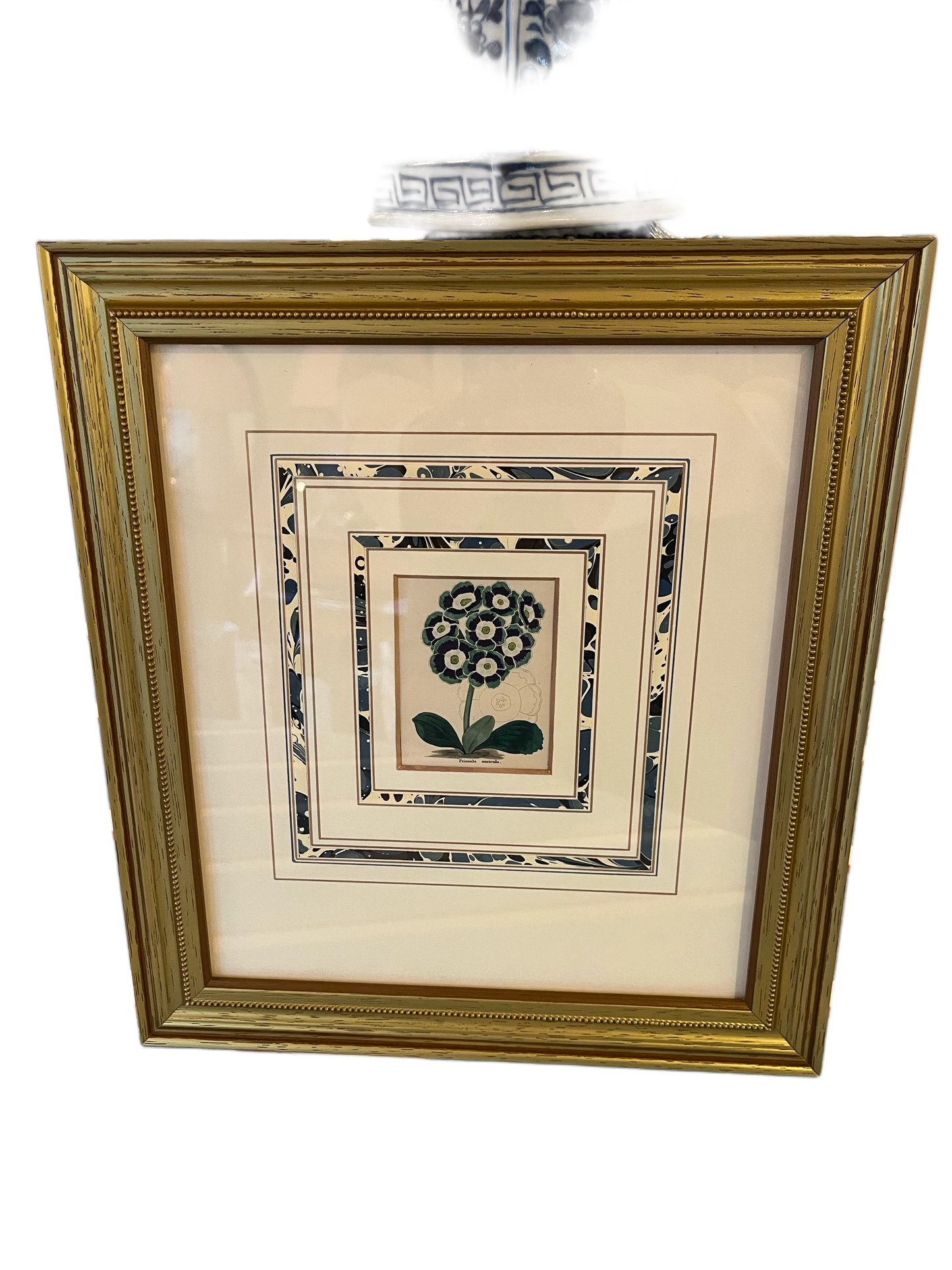 Botanical Prints w Mats