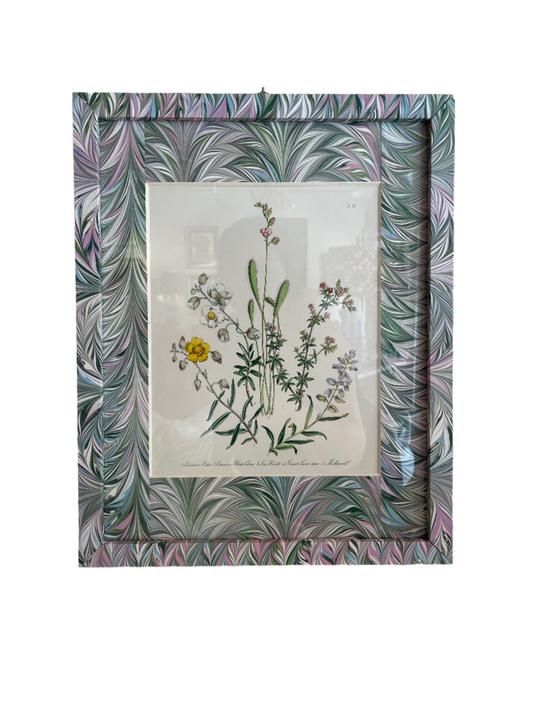 Framed London Botanical