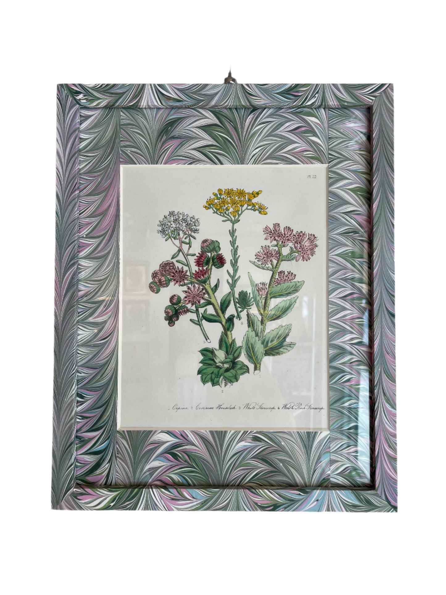 Framed London Botanical