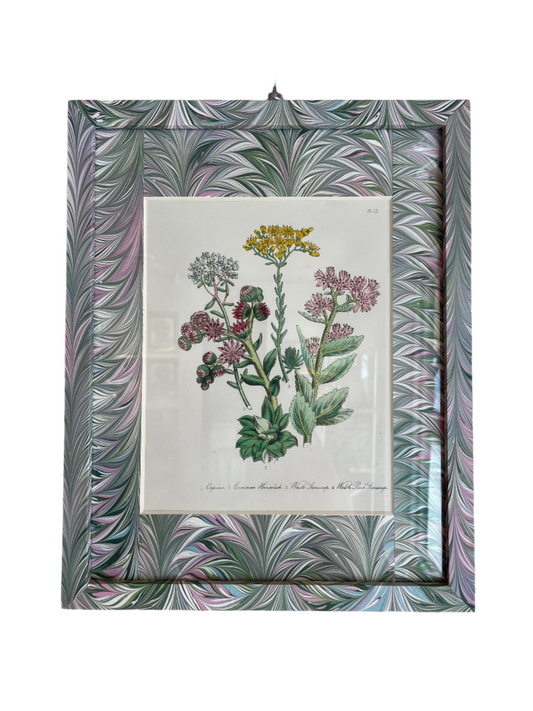 Framed London Botanical