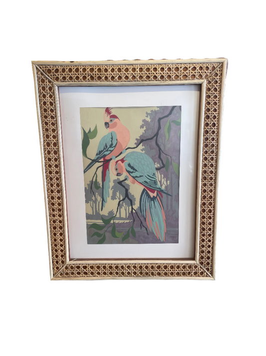 Paint by Numbers in Cane Frame