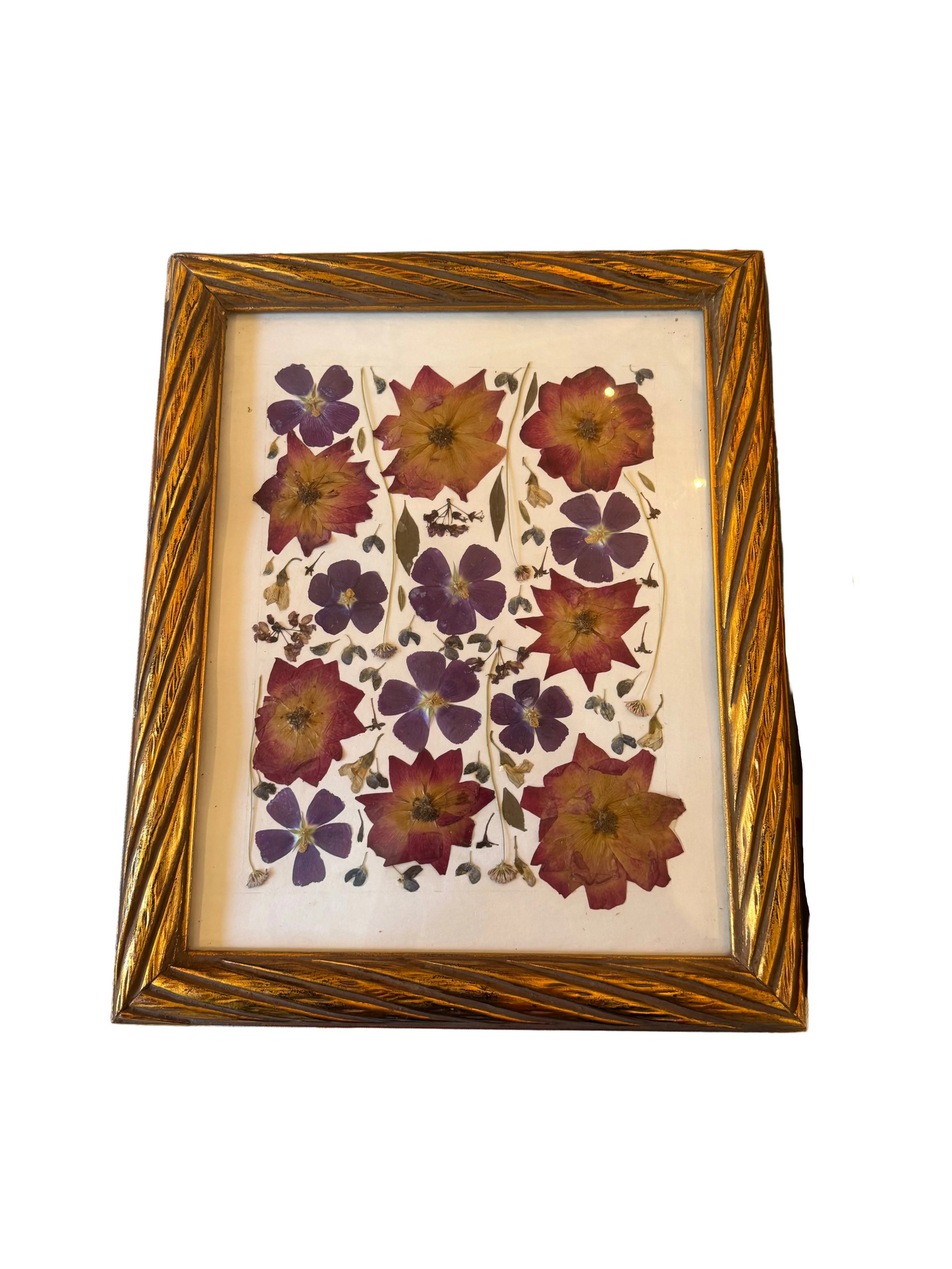 Pair of Original Pressed Botanical Art