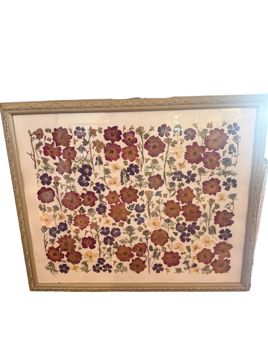 Pressed Botanical- North Texas Garden Spring