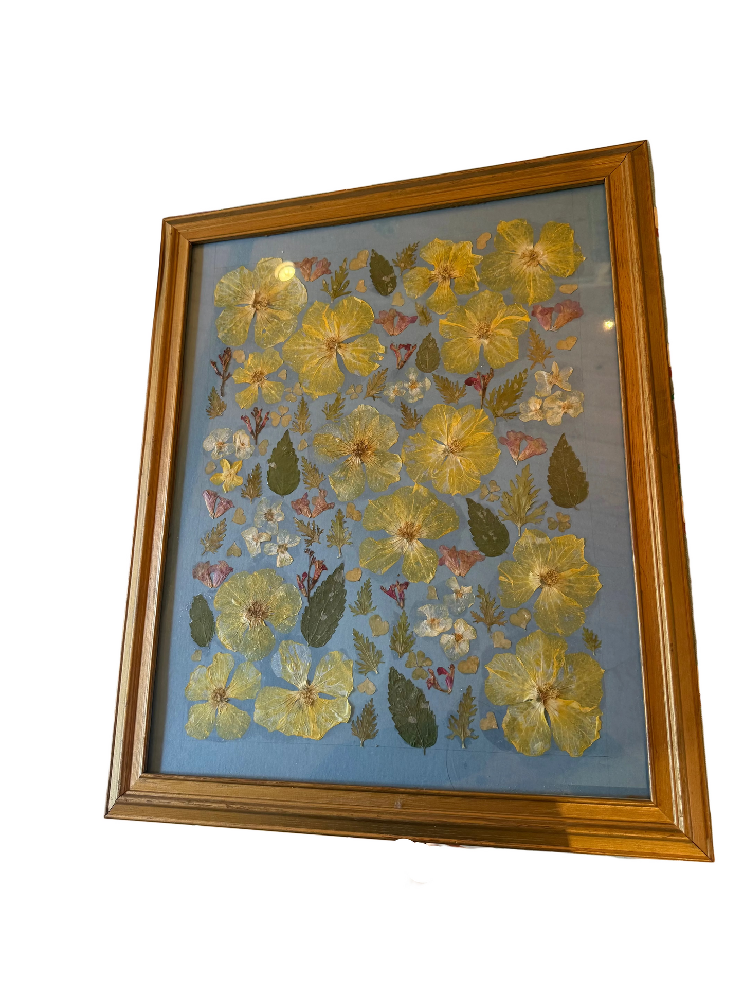 Pressed Botanical- North Texas Garden Spring 2