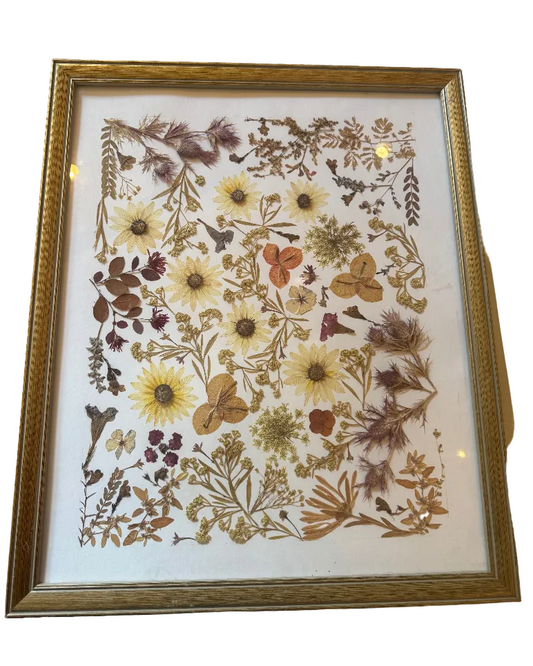 Pressed Botanical -Texas Wildflowers