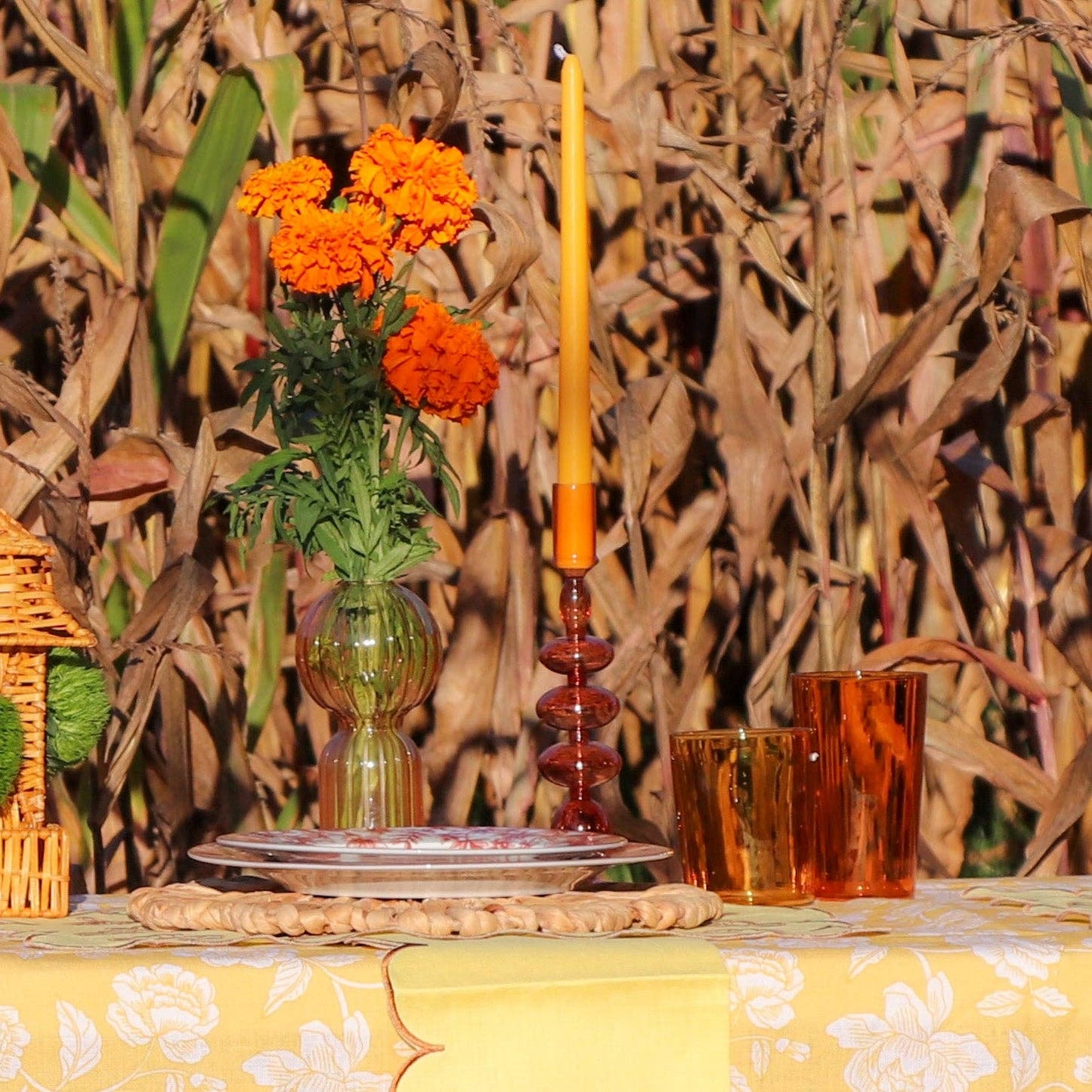 Spiced Citrus Taper Candle - Pack of 4 (Extra Tall)
